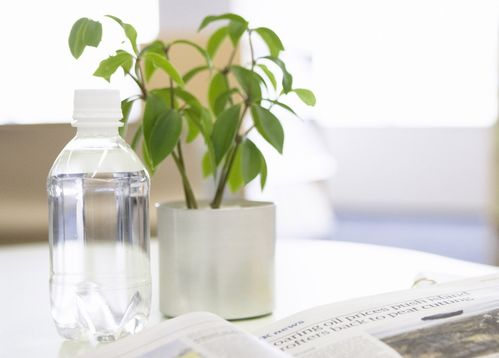 3月底,沖破霧霾,紅鸞星動 ,熬過苦難,迎來幸福,再續(xù)前緣 生肖