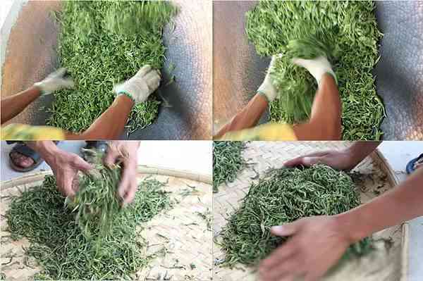 云南原生態(tài)雨林古樹普洱茶專賣店官網(wǎng) 袋裝茶的極佳選擇