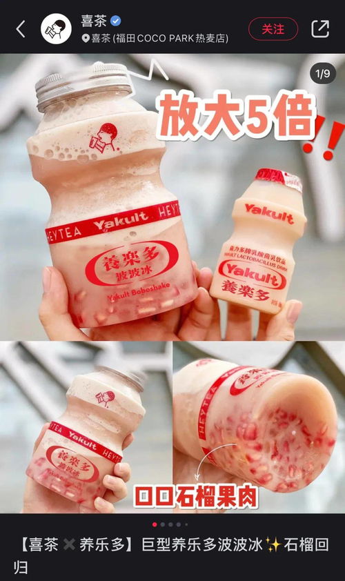 錦旗生物發(fā)布“三次元”益生菌 功能性茶飲賽道的破局新變量